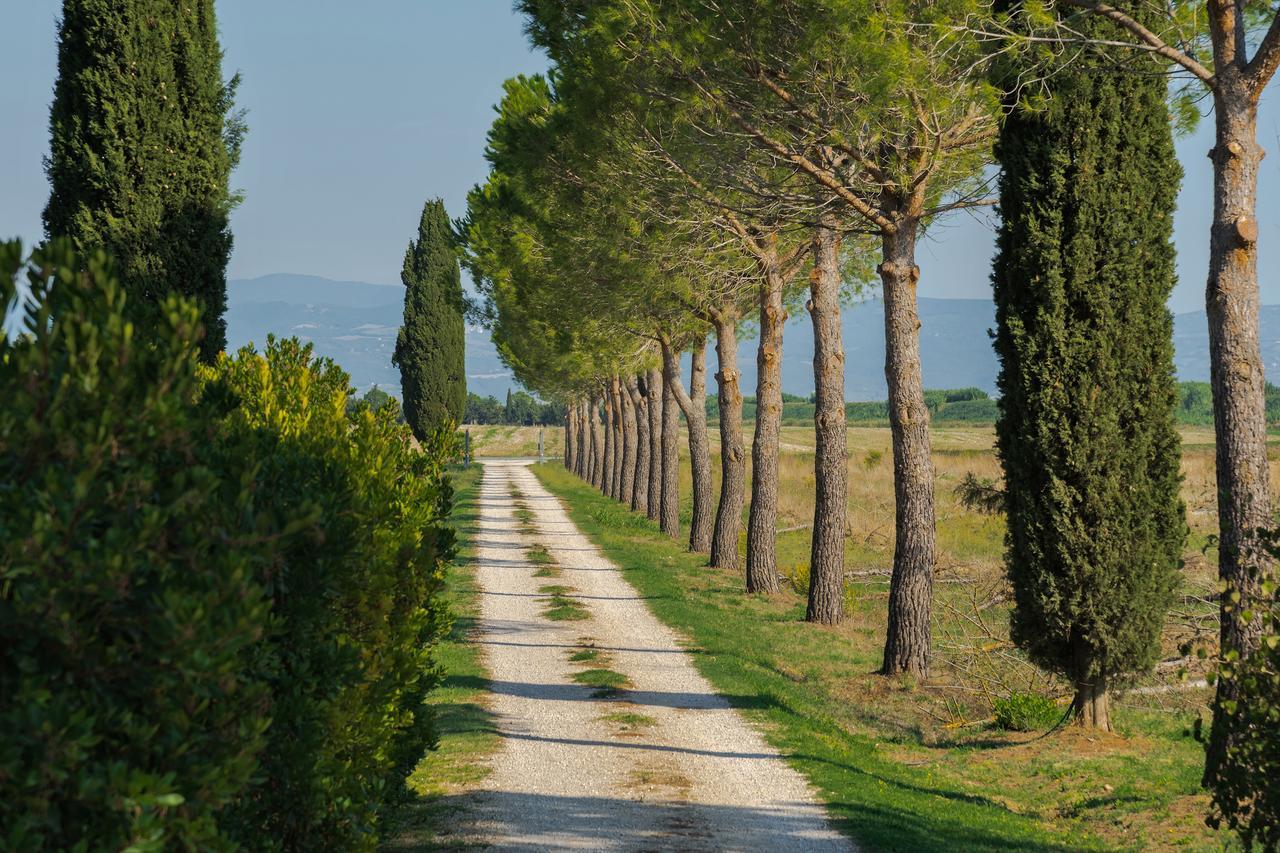 Agriturismo Bandinelli Braccagni Екстериор снимка