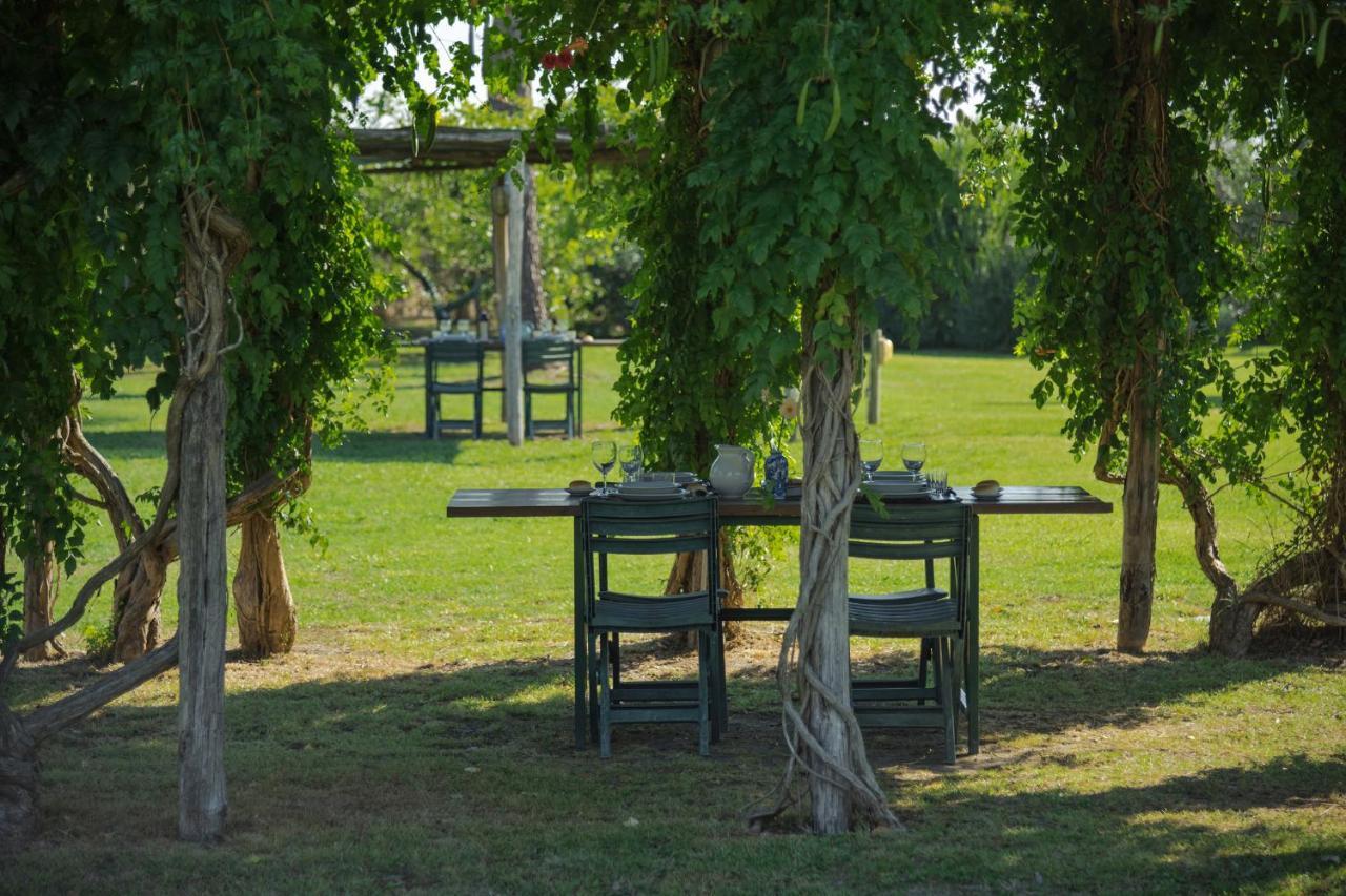 Agriturismo Bandinelli Braccagni Екстериор снимка